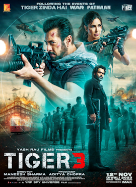 Tiger 3 - The MovieFlix Pro Review